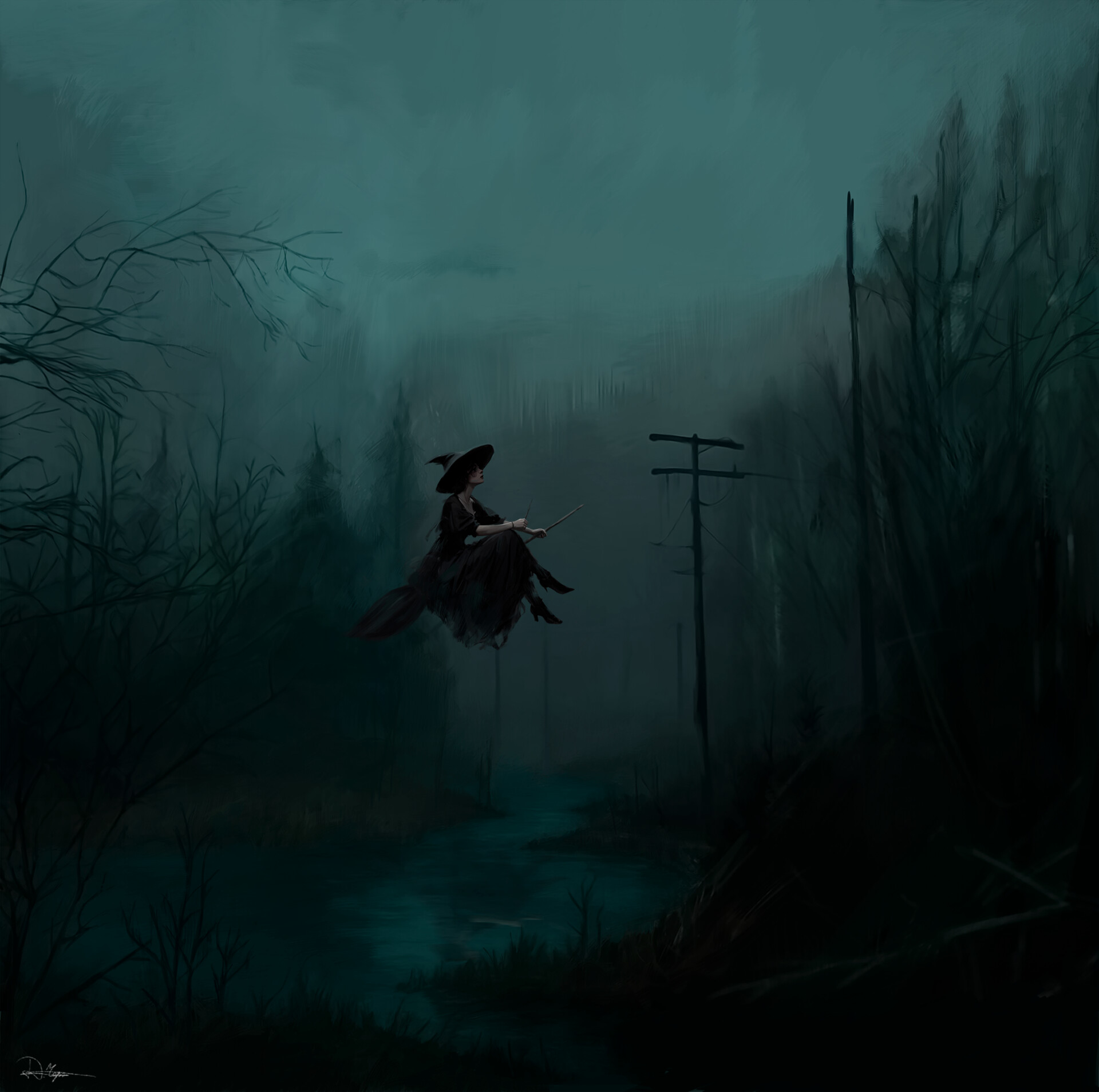 the stillness of the swamp