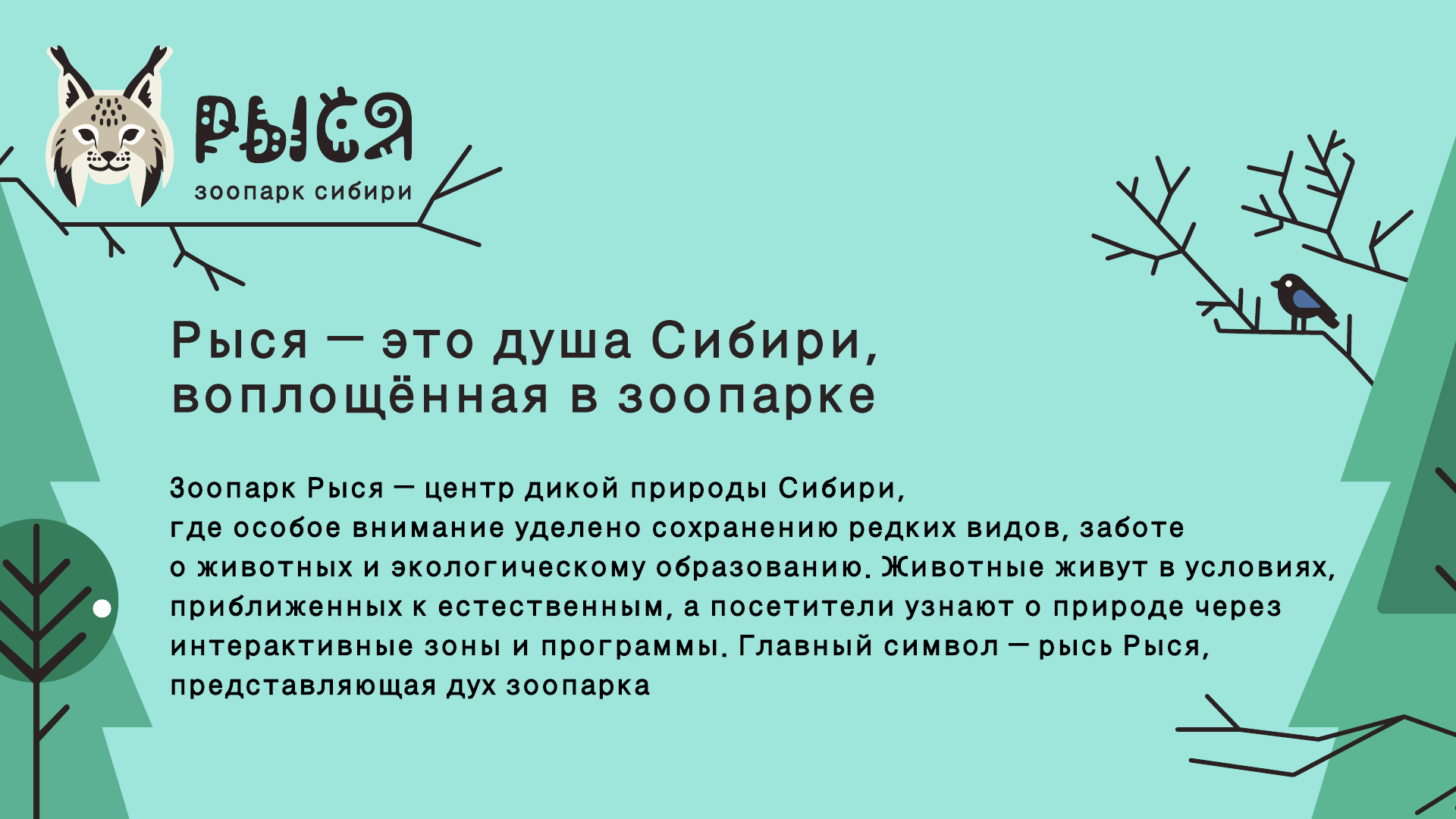РЫСЯ, страница брендбука 03